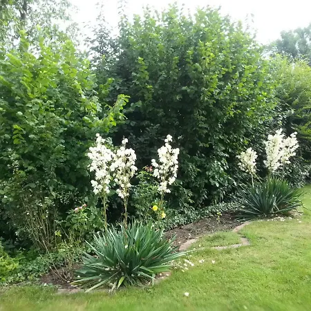 Apartmán Lilly
